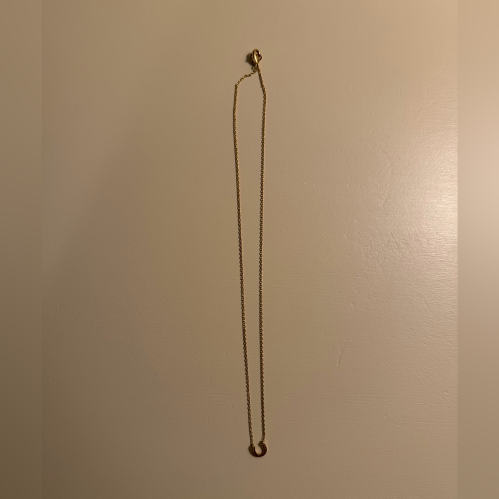 Elegant Horseshoe Gold Necklace